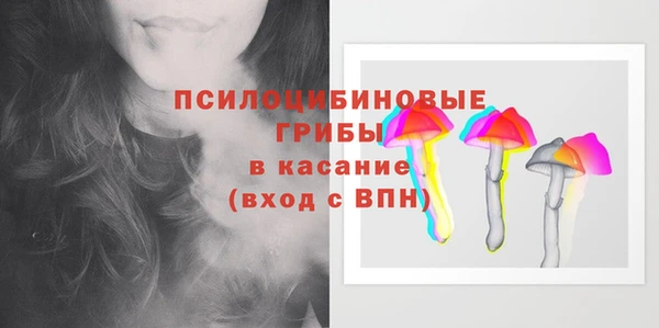 гидропоника Нягань