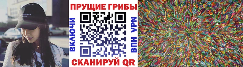Псилоцибиновые грибы Psilocybine cubensis  Фёдоровский 